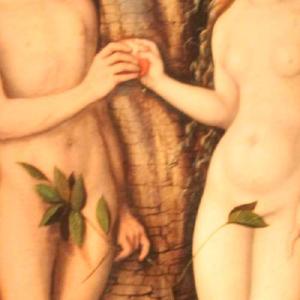 images/thumbnail.jpg - Thumbnail
