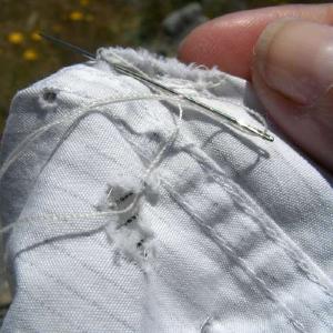 images/thumbnail.jpg - Thumbnail